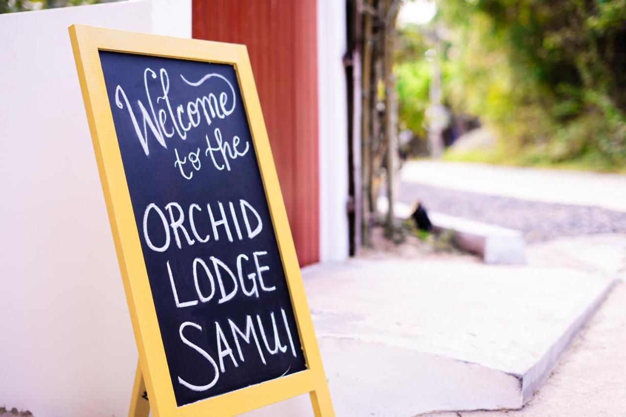 Orchid Lodge Samui - Bed & Breakfast Lamai Beach  Buitenkant foto