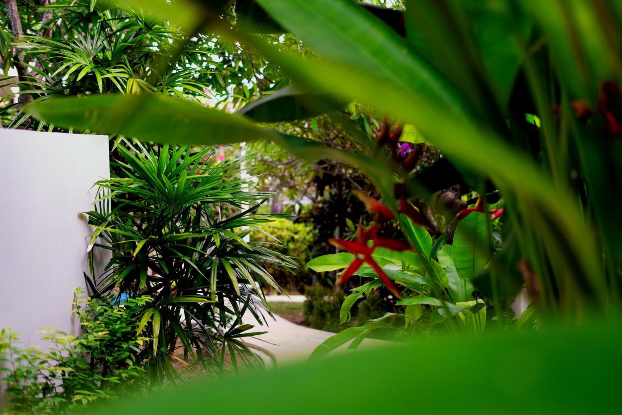 Orchid Lodge Samui - Bed & Breakfast Lamai Beach  Buitenkant foto