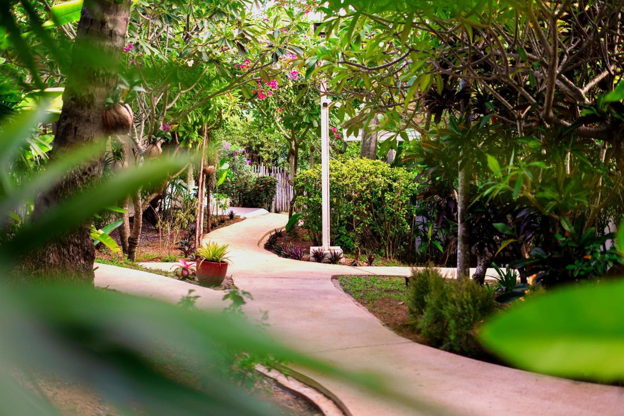 Orchid Lodge Samui - Bed & Breakfast Lamai Beach  Buitenkant foto